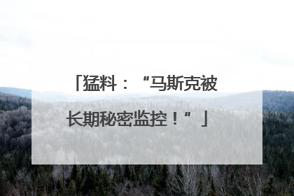 猛料：“马斯克被长期秘密监控！”
